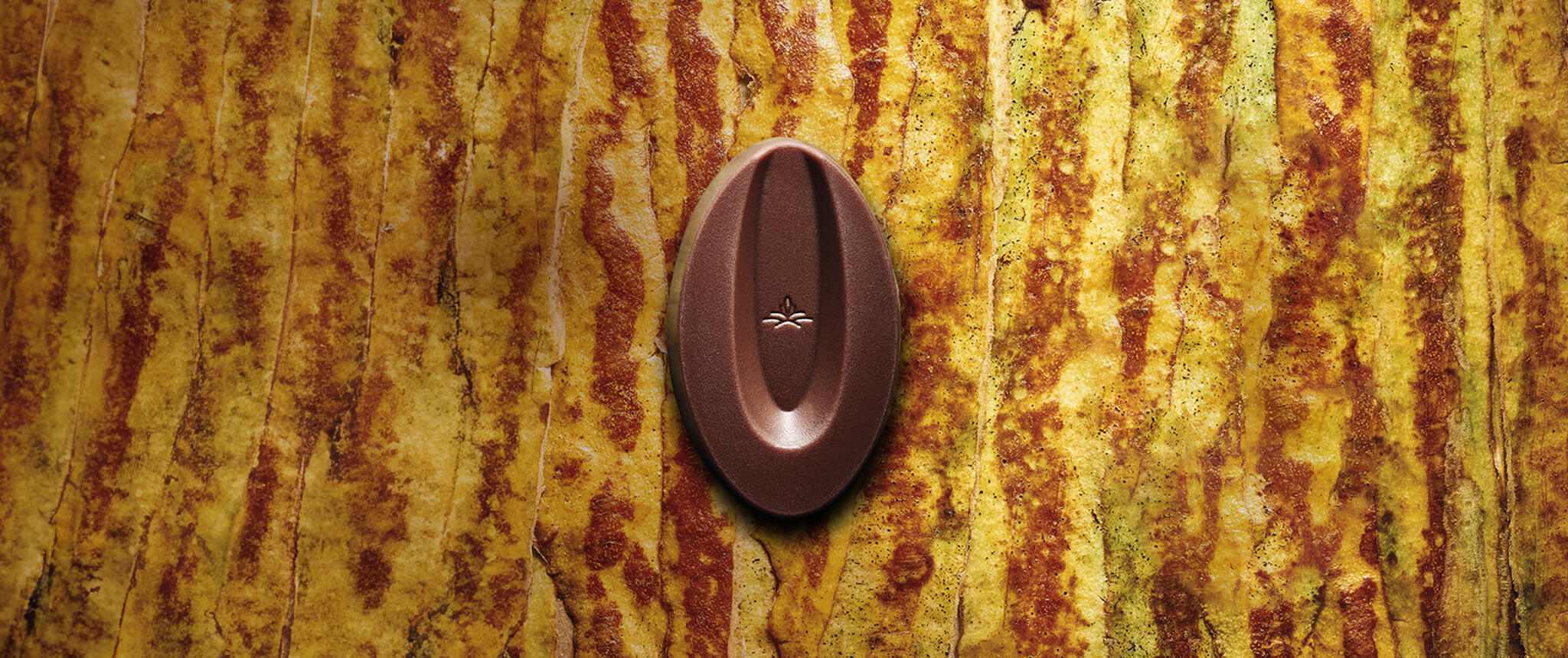 valrhona valrhona