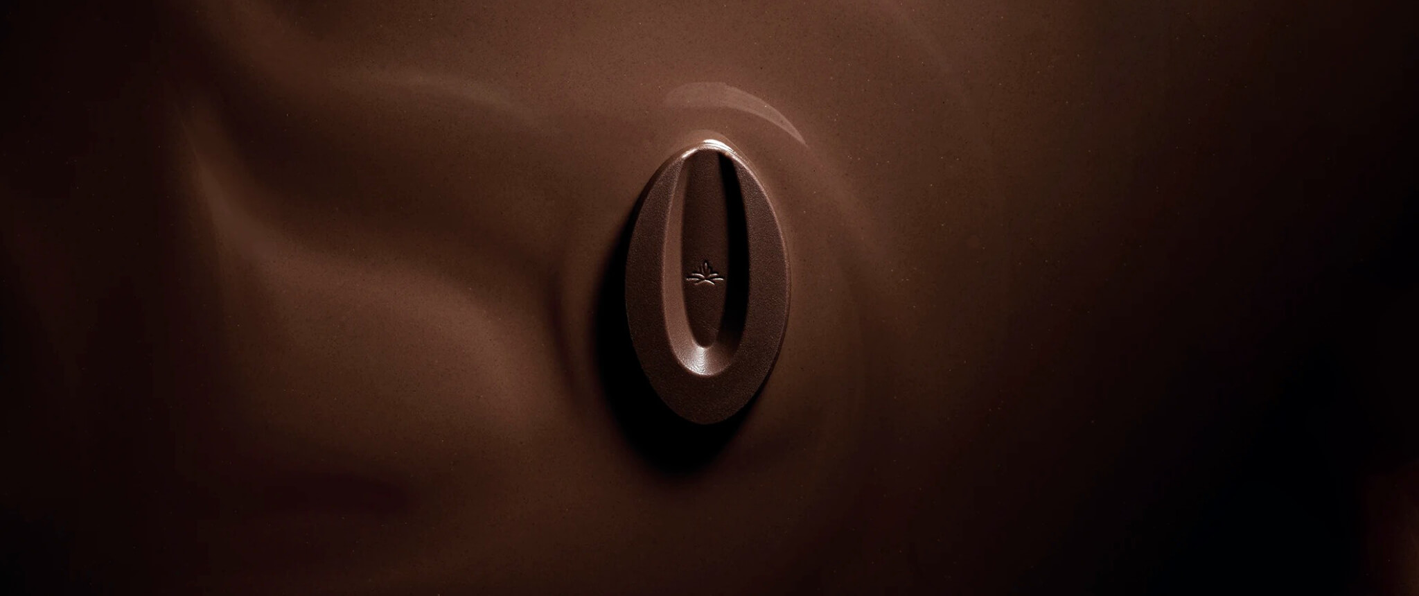 valrhona valrhona