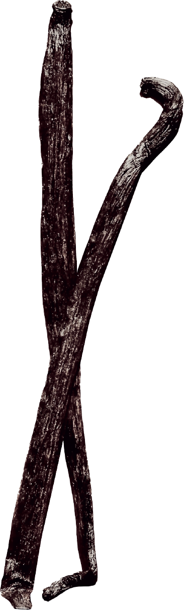 vanille