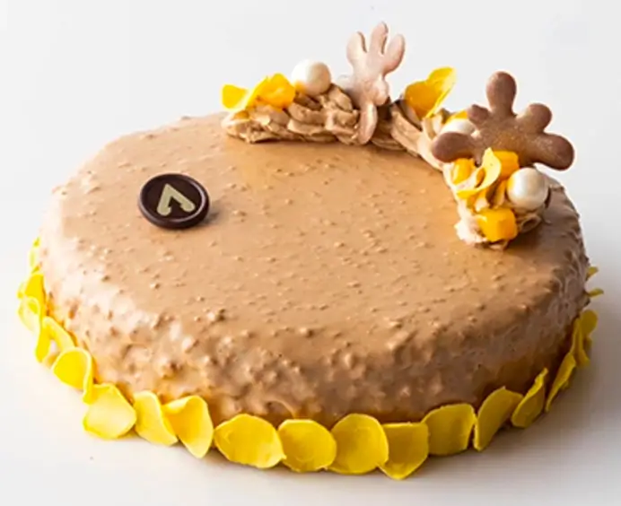 CHOCOSMART CARAMEL CRUMBLE IRCA