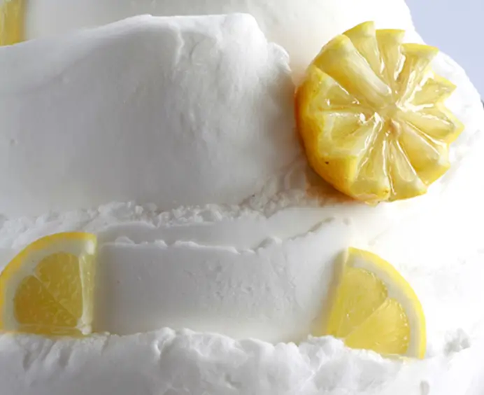 JOYBASE Citron Premium 100 JOYGELATO