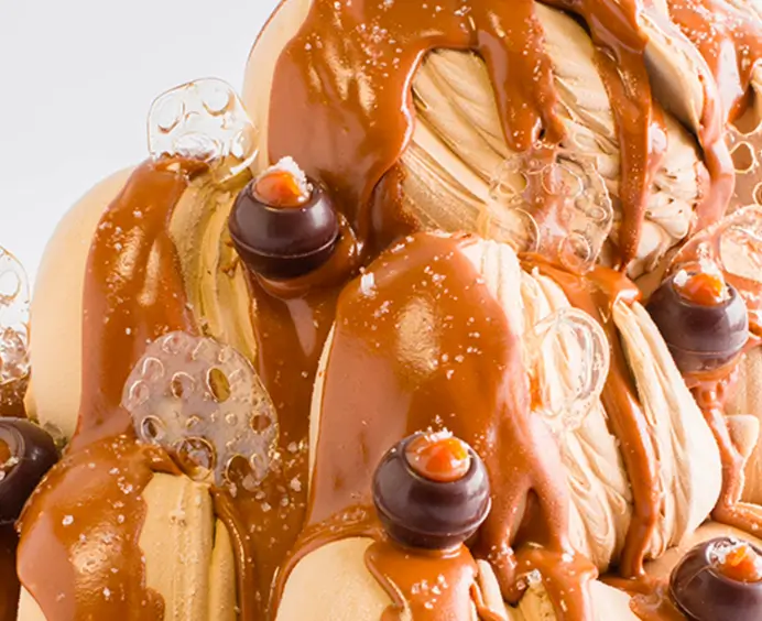 JOYCREAM Caramel Fleur de Sel JOYGELATO