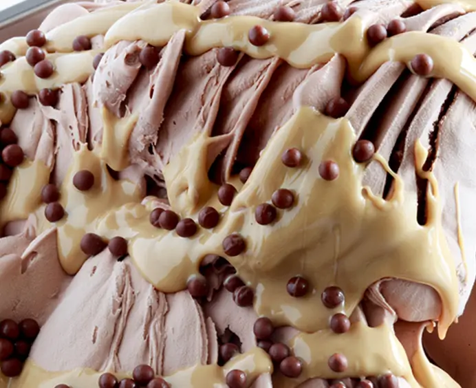 JOYCREAM Nocciolata Bianca JOYGELATO