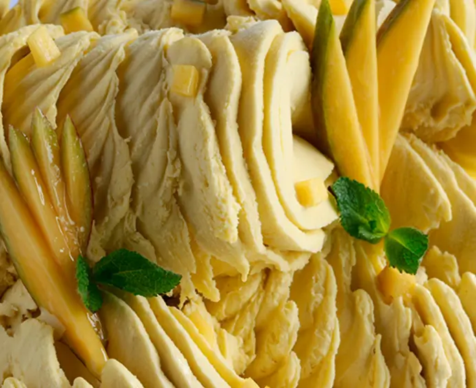 JOYFRUIT Mangue JOYGELATO