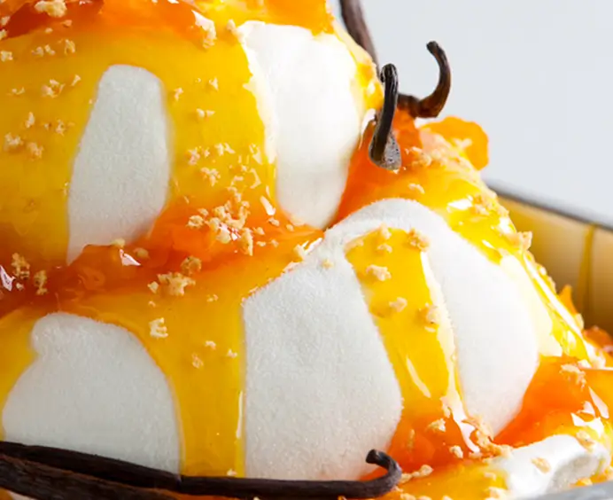 JOYFRUIT Tropical JOYGELATO