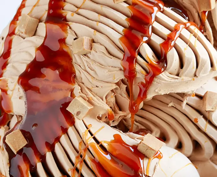 JOYPASTE Dulce de leche JOYGELATO