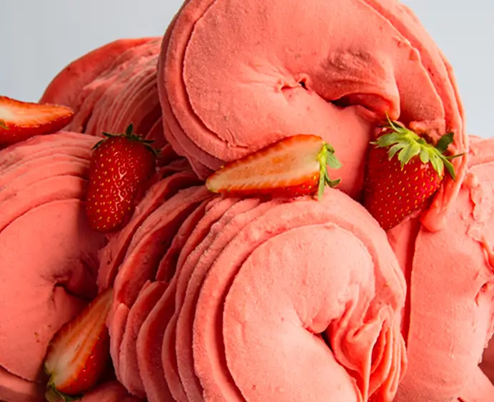 JOYPASTE Fraise JOYGELATO