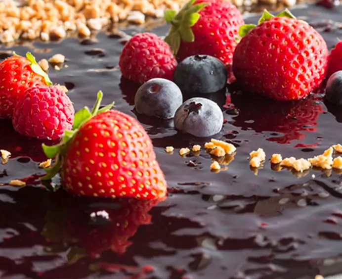 JOYPASTE Fruits des bois JOYGELATO