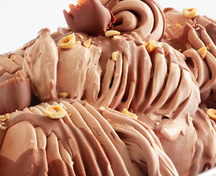 JOYPASTE Gianduja JOYGELATO