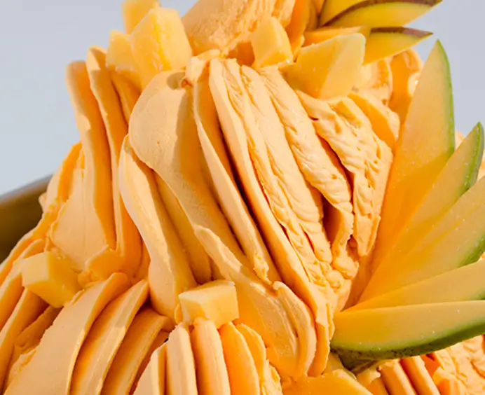 JOYPASTE Mangue JOYGELATO