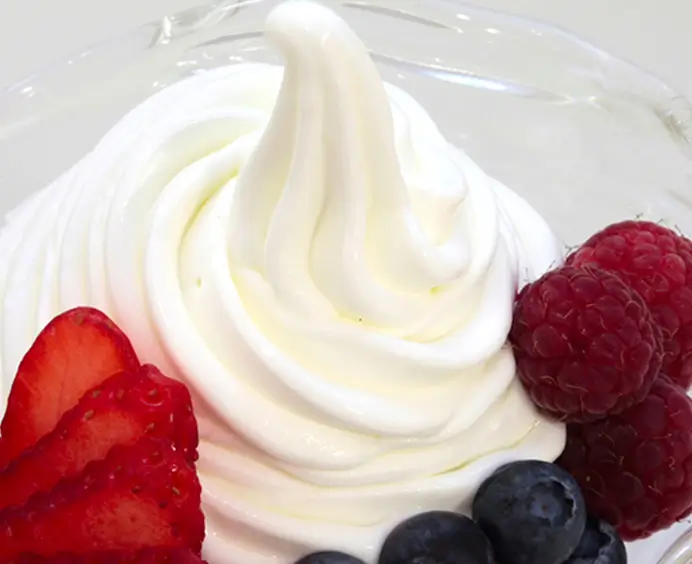 JOYSOFT Frozen Yogurt JOYGELATO