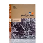 GUM MASTIC Small Tears N3