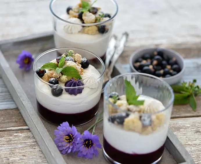 Purée de CASSIS Noir de Bourgogne Sucrée 10% RAVIFRUIT