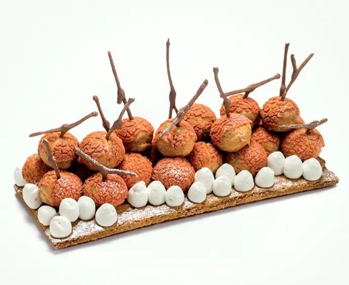 Purée de LITCHI Sucrée 10% RAVIFRUIT