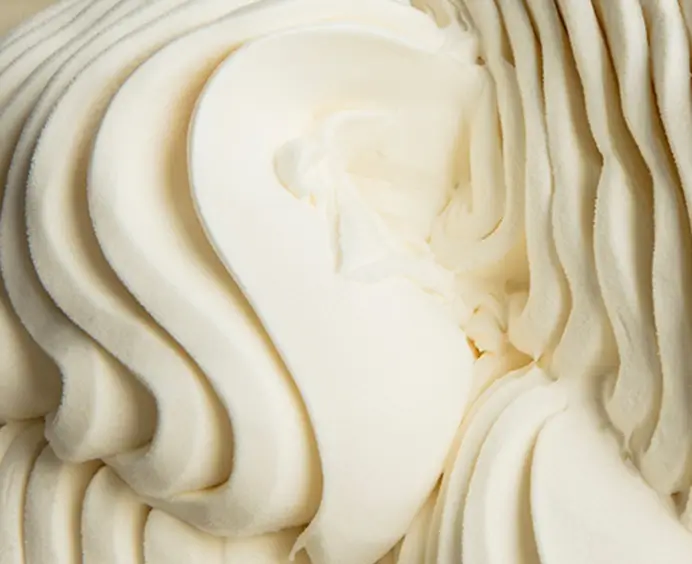 JOYGELATO Yogurt