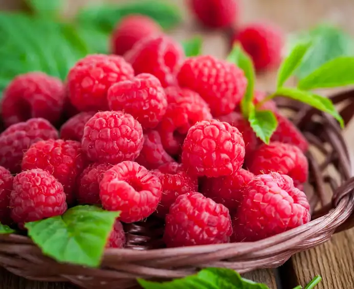 Joytopping Framboise