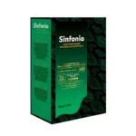 RENO SINFONIA Blanc 34%