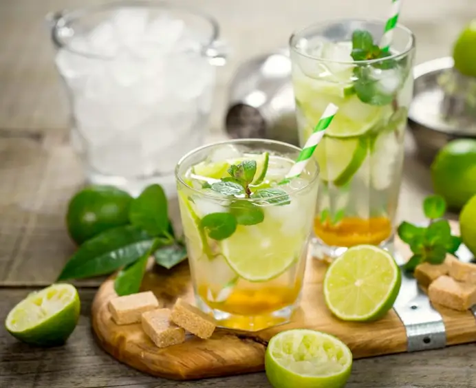 Purée de Mojito Ravifruit