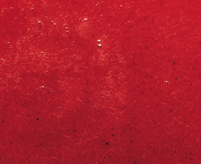 Purée de fraise surgelée - Adamance