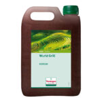 World Grill – Korean – Marinade à l’huile - verstegen