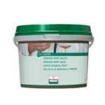Orange Mint Saus – Connoisseur - verstegen