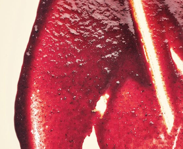 Purée de cassis surgelée - Adamance