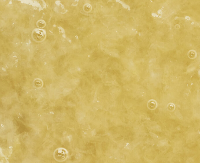 Purée de citron surgelée Adamance