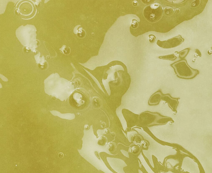 Purée de citron vert surgelée Adamance