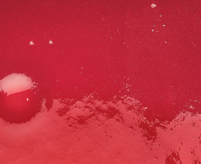 Purée de framboise surgelée Adamance