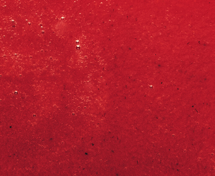 Purée de fraise surgelée 5kg Adamance