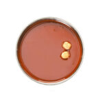 Pâte Pure Noisettes Piémont