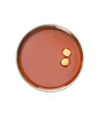 Pâte Pure Noisettes Piémont