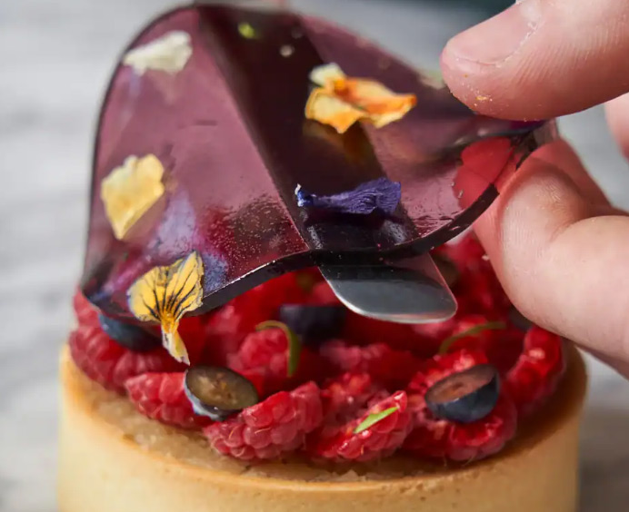 Gélifiant-Végétal-XP-500