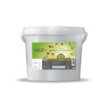 Praliné grains noisettes Romaines 50-50