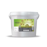 Praliné lisse noisettes Piémont