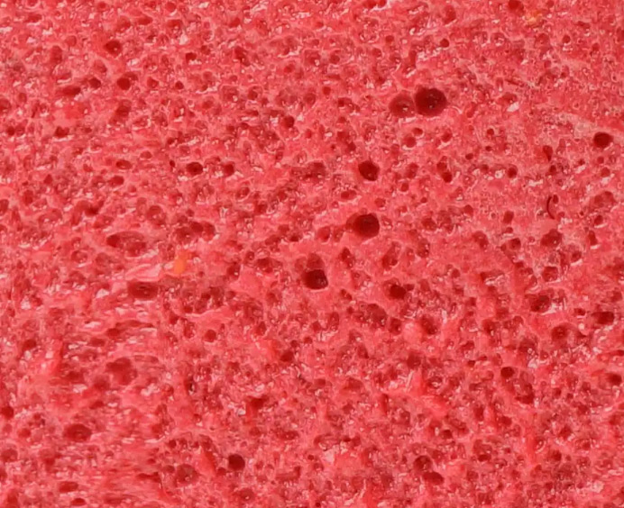 VEGAN-MOUSSE-GÉLATINE-500