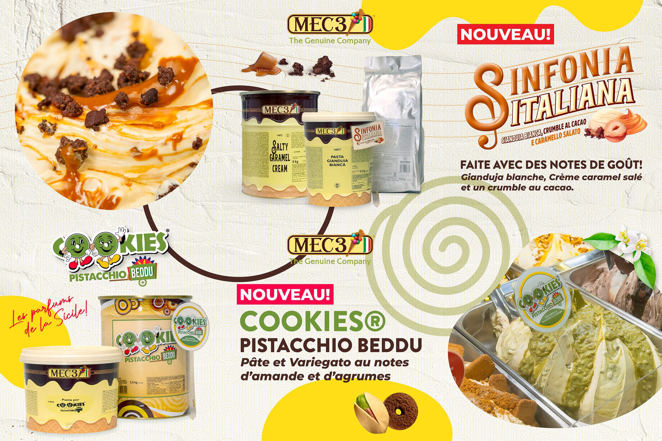Bases de Glaces Artisanales et Gelato au Maroc